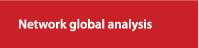 Network Global Analysis 